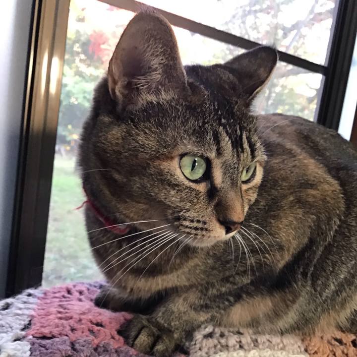 08232973 6bdc 40c5 b414 ddf1498b9b54 1634369850003