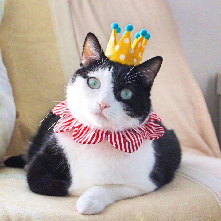 082379be 1b61 4678 8769 18e6c52c5106 1571238292680