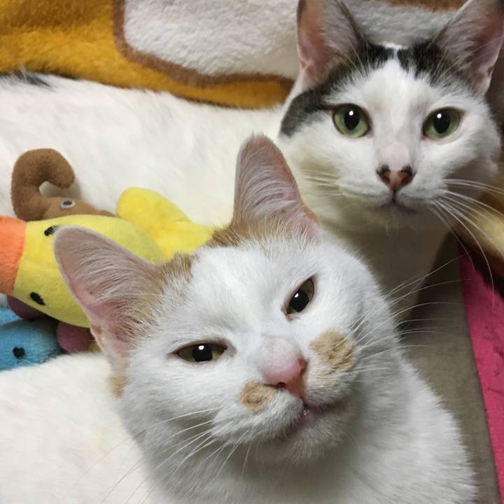 0823a22f e228 43a8 bf4f 2983c053bda3 1548767885610