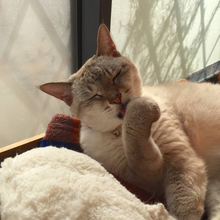 0823aacb c071 49e6 b924 05d96f34082f 1543466577894