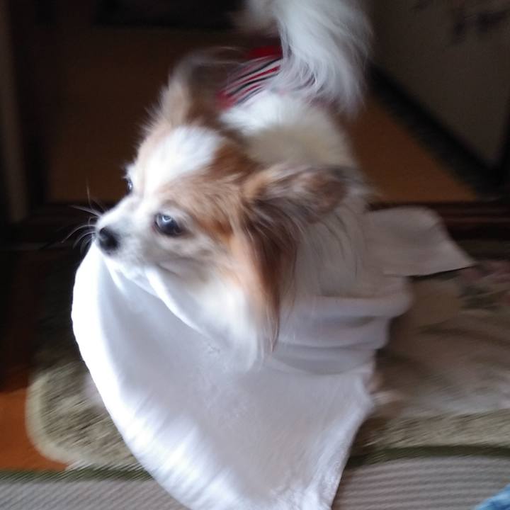 0823beef 85e9 4cb5 ace3 dab4c49127f4 1536540388564