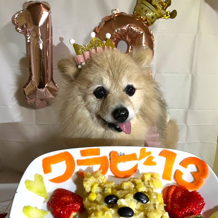 0823f80b 638b 42dc 9b05 c886ecfea489 1770559324823