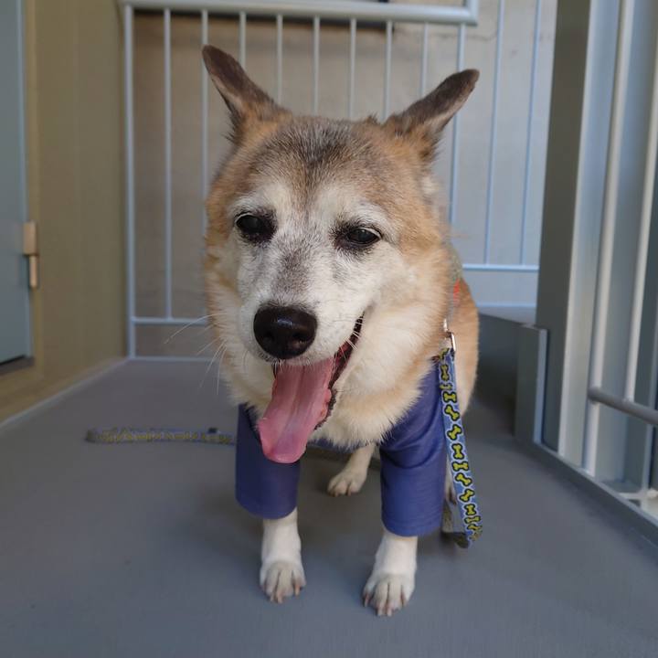 08241271 6eda 40de b0a6 6a817ac70018 1734318565004