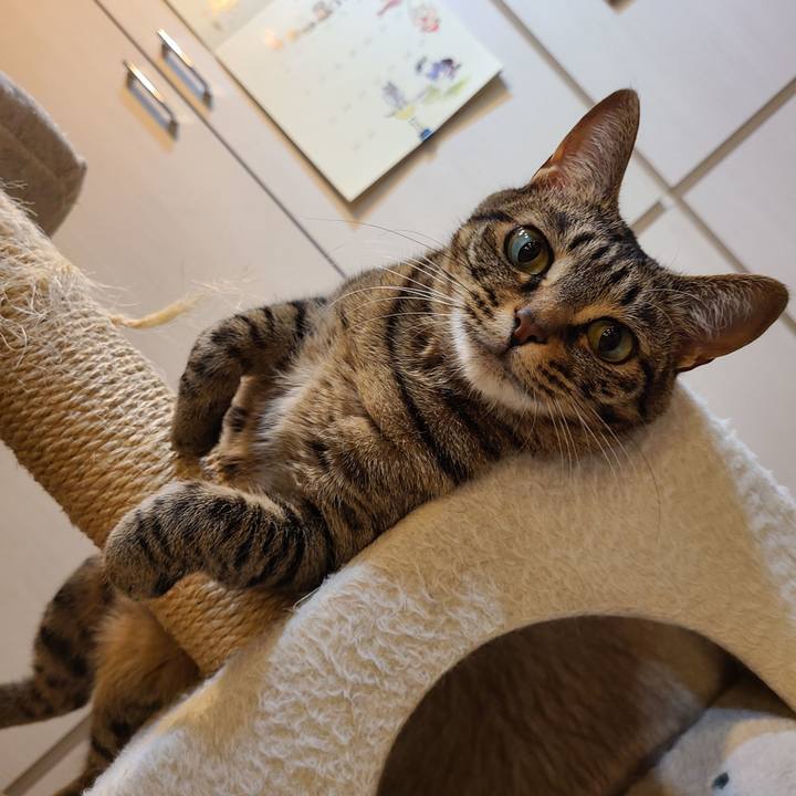 08241c78 bef2 4821 abf5 e8e7123182da 1625974990308