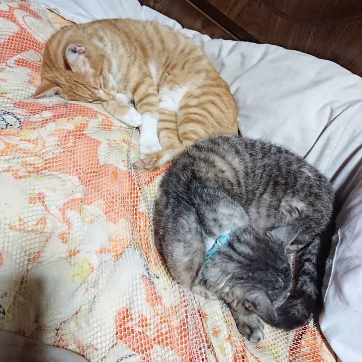 082432f5 876c 48e1 94f3 167fc49548ff 1568381277515