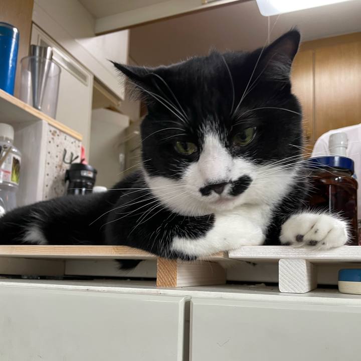 08247c3c 1545 496d ba5c e4247e97c872 1660699185575