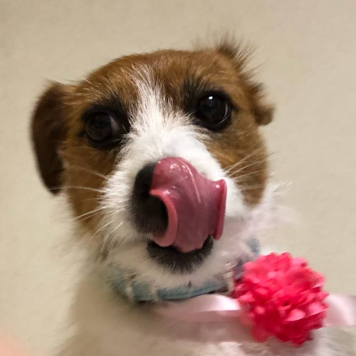 08247d4e aa10 4762 b2e8 357c4c5824e8 1527332690945