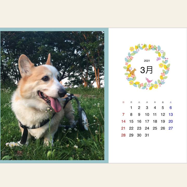 0824b012 6a9a 48f0 ab1a 4e1db1caf4fa 1614599858829