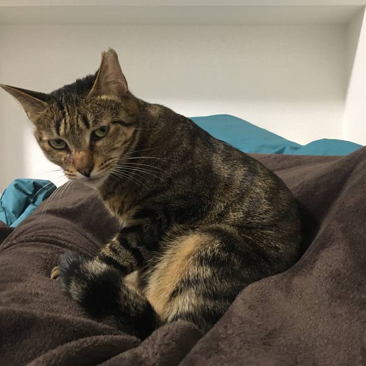 0824bb37 46d6 4459 ac01 ca63cc1c5552 1551359529685