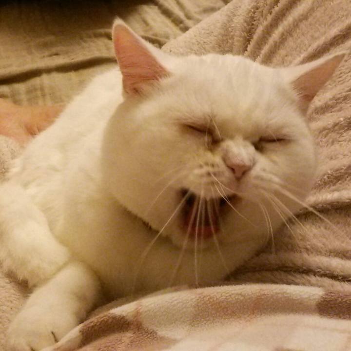 0824d532 6e81 41e4 af6a 9b3ca21155f7 1512376021394