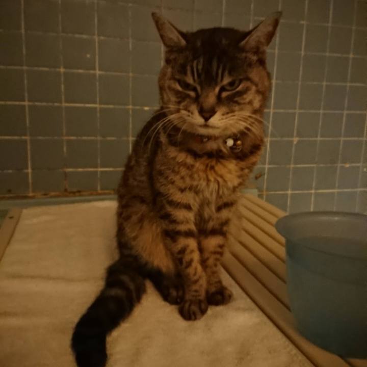 0824ebc7 f2bd 4685 9b61 49f1afc8c779 1614692693086