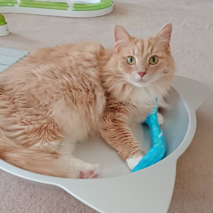 0825429f 6a32 484a 9df3 4176f0624f98 1532138292128