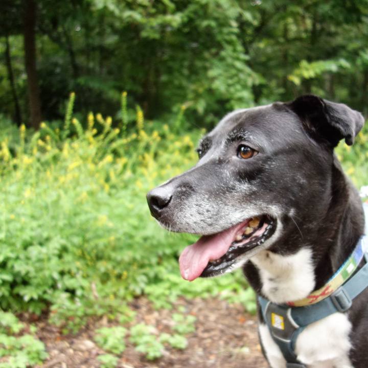 08256103 91f6 40b9 85b3 a6859be078d2 1727480380963