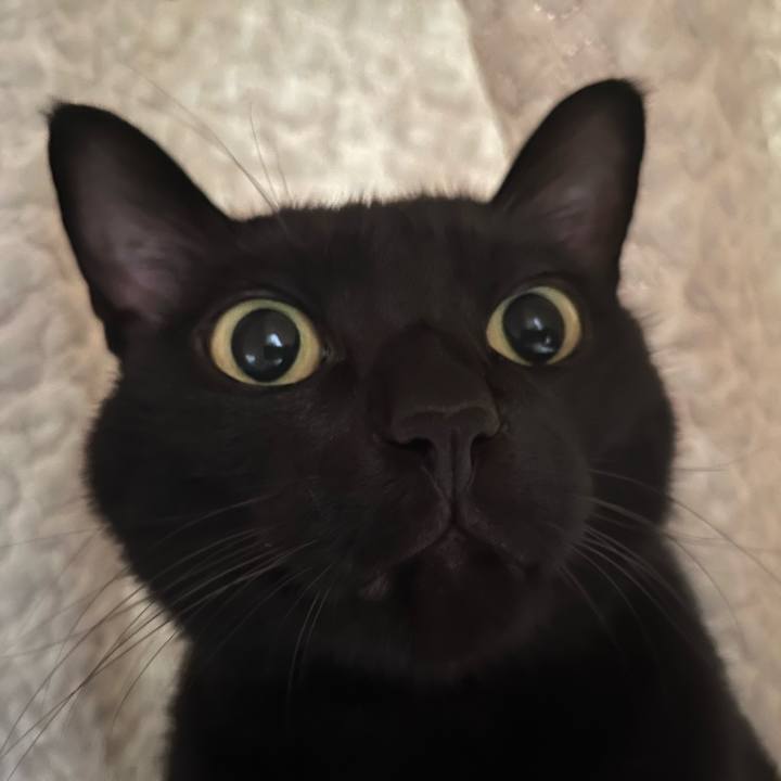 08257bdb fcc8 4173 8435 911084599c14 1691809450795