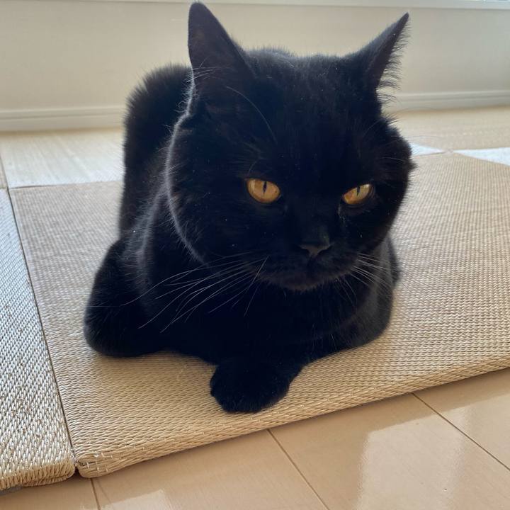 0825861e 25db 44b1 96b8 88b4c31f1edf 1619743011987