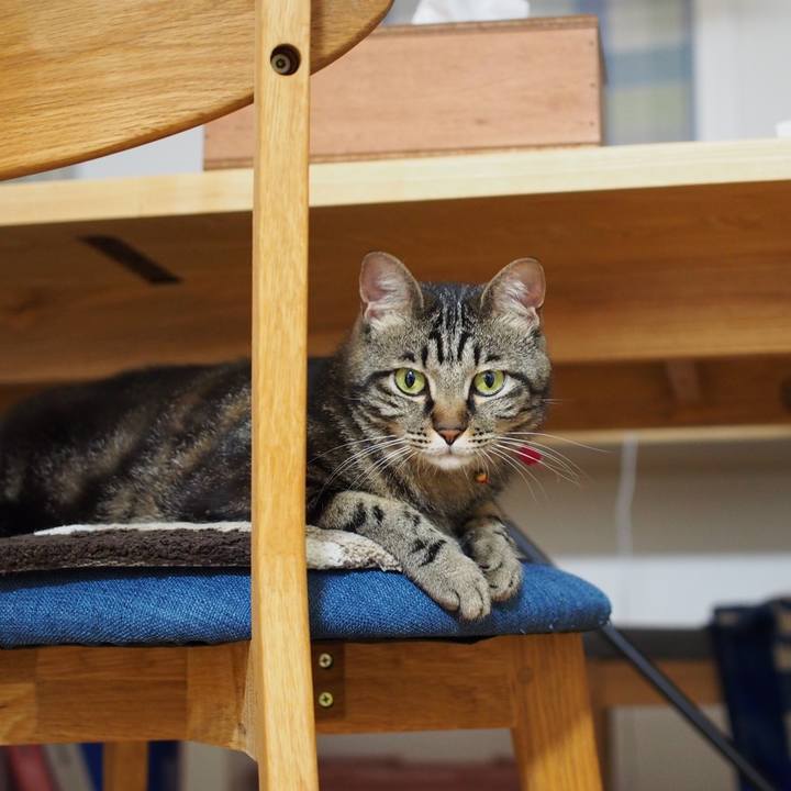 0825affb adb9 44c4 bcb5 306a5bd02525 1594033009352