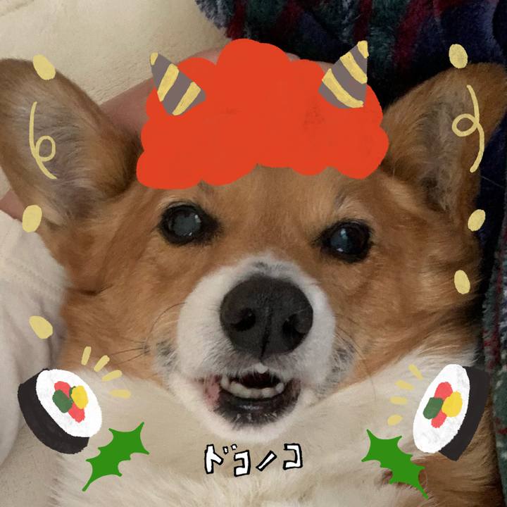 08261723 616e 4fcb 947e 931f0f4ed315 1706846985142