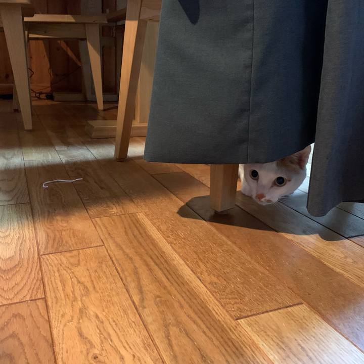 08263db9 15d4 4129 bff3 d98dbb5a86bc 1572354245658