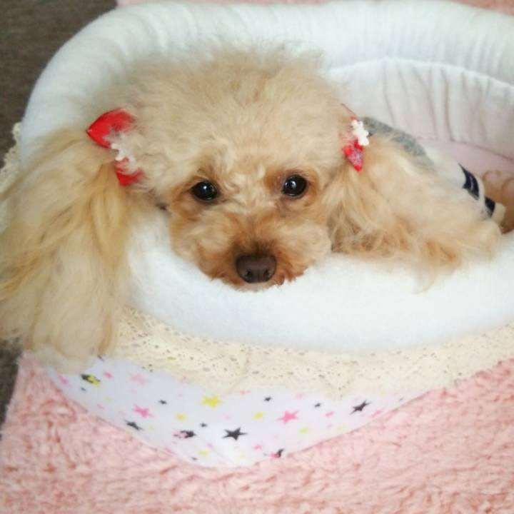 082658fc ffac 4aa5 91dd 5b8c466de2ac 1516020744023