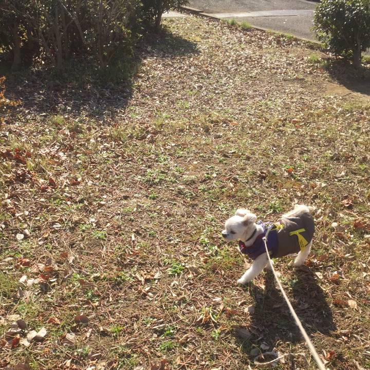 0826f5f2 149f 45df 8b80 54d7b2dc4aca 1513577971357