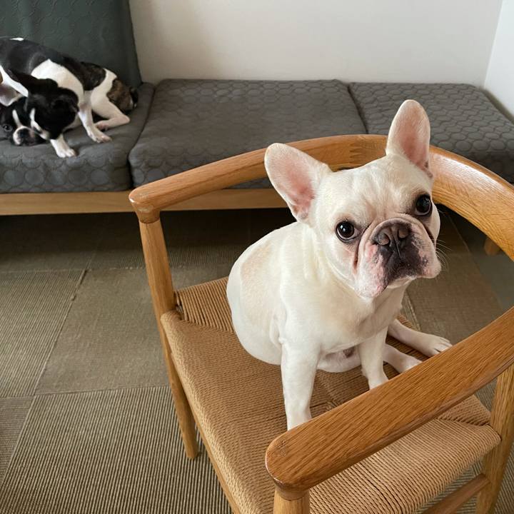 08272f83 946b 4e0f 90b6 6a4306f18c22 1606172720261