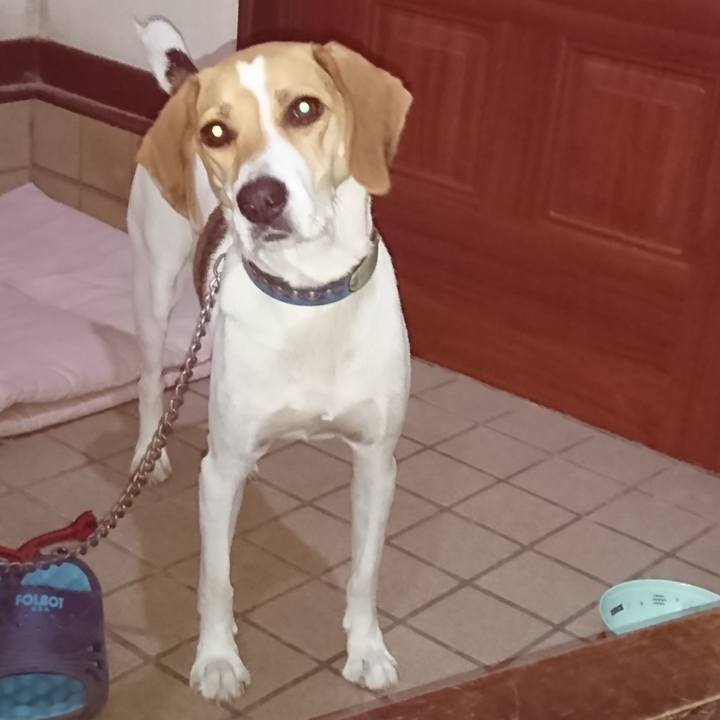 08274c2e 7130 4ec4 a8fb 80aae7789b07 1567083350463