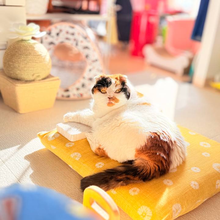 08276611 a87f 4603 a02f 6713c7c2890b 1761057371339