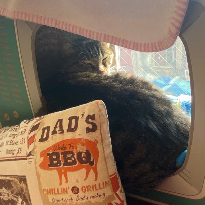 08278eb5 96d8 4ae8 8322 aa2e0196842c 1644032581475