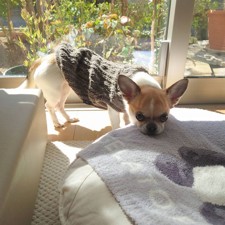 0827b1f4 5a0e 42c9 ba5f 0558c3efabb9 1711008595881