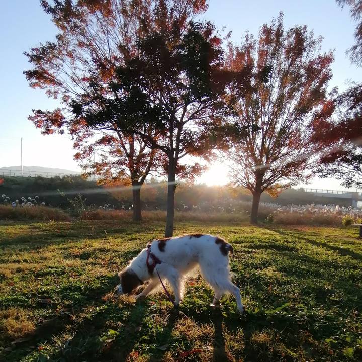 0827b24f 6ce6 4223 a9f9 f4d75228ee03 1606353077872