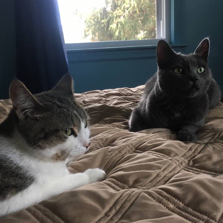 0827f015 bd5a 42e2 935d 33424d93cc59 1633654044528