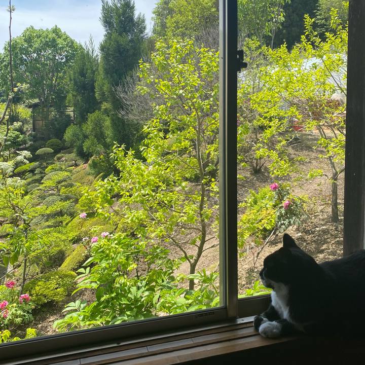 0827fb70 bfd6 4549 a0df 662e1656a7d1 1683329141932