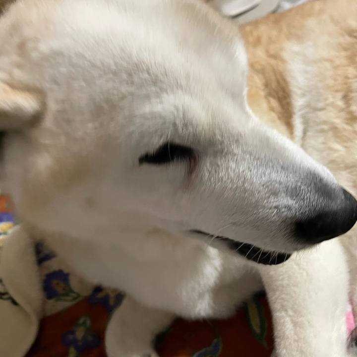 08280d6d 832d 4f43 8fab cfb6d70d478e 1680185244520