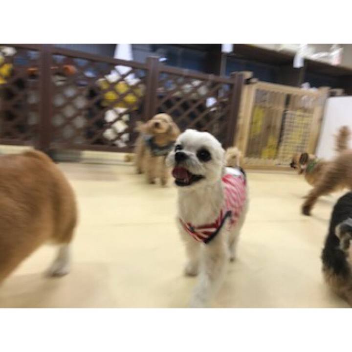 08280ec2 e409 4861 bb07 c9e1255fa0df 1552561951899