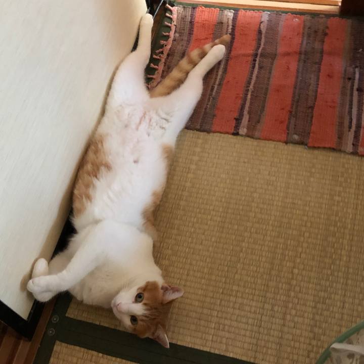 08281aed 43b5 429c b376 cbdcee22c17e 1564718348160