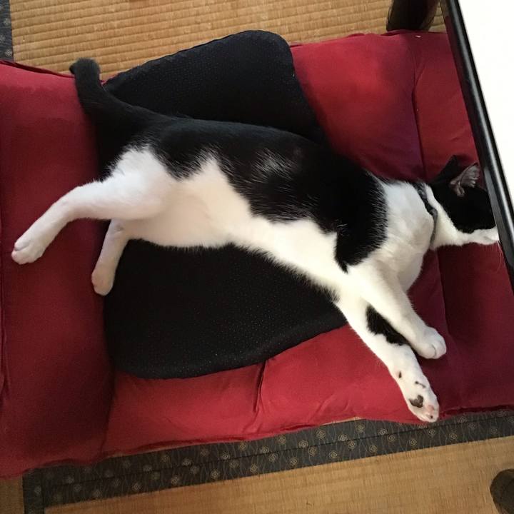 08282f68 ae94 45a6 9725 6b617db16aa3 1632736519321