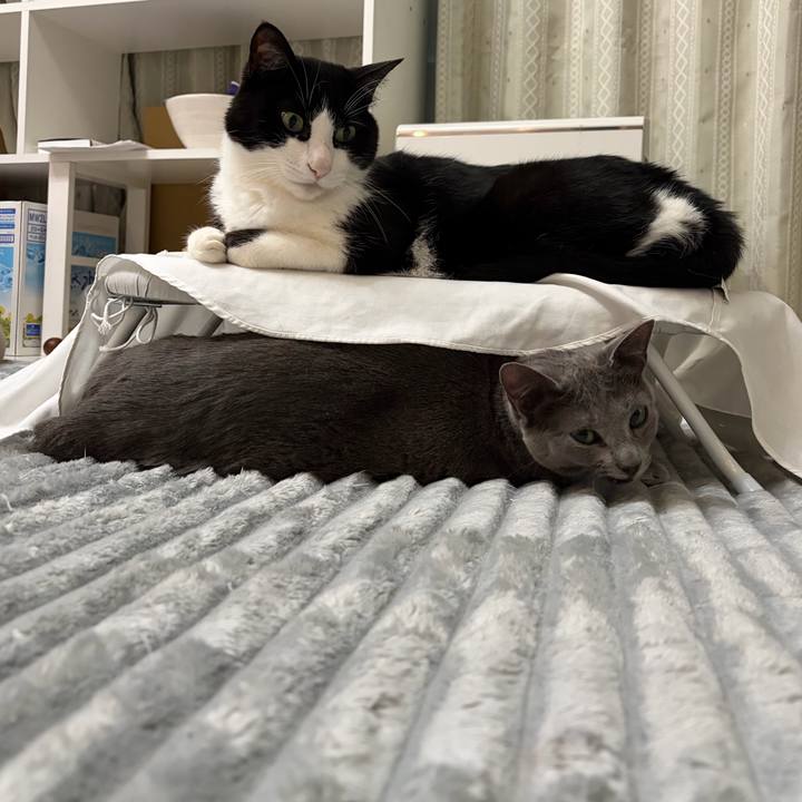 0828433c 91a5 4a4d 8a0c d6f91d056dec 1771250637071