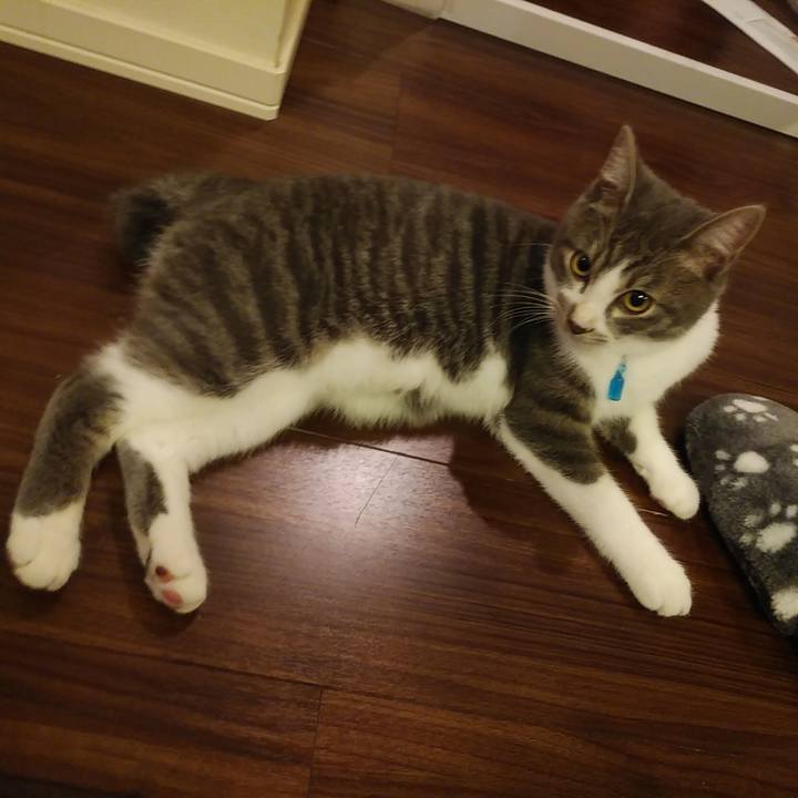 0828713a 30d4 4201 bdcd f78ddcb63125 1572270493087