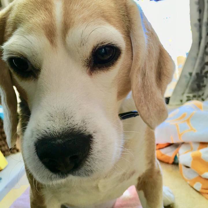 082896b2 f434 4d46 8b0e 5ade04e07571 1548561946038