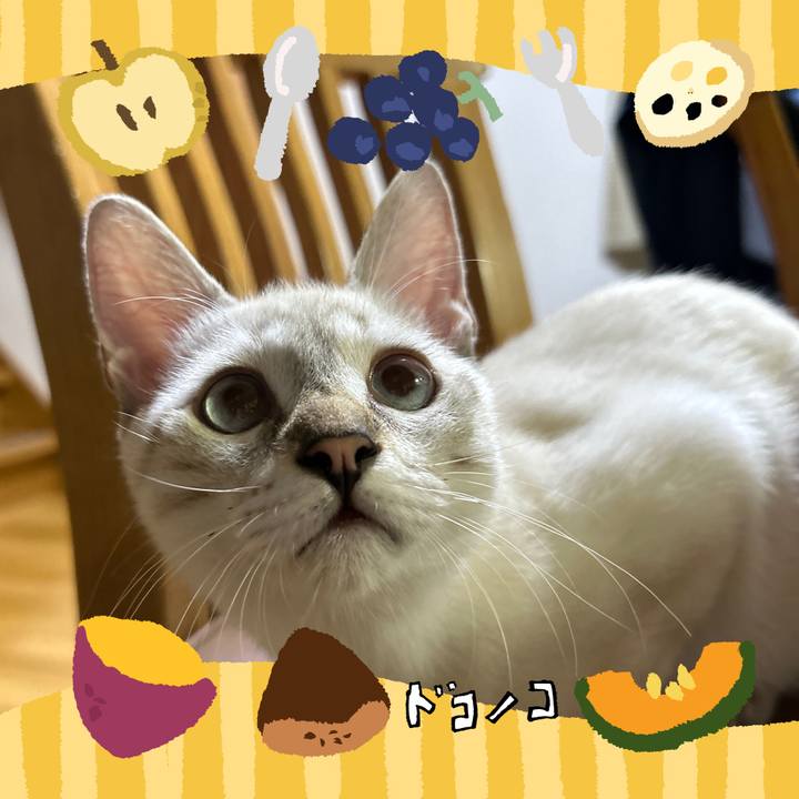 08289823 8fb4 466f 9abe bf0fa1a64b4c 1727093852599