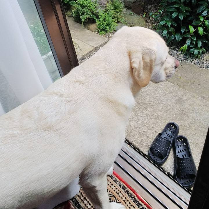 0828b245 9421 4155 95e5 d9af3255df55 1533178854498