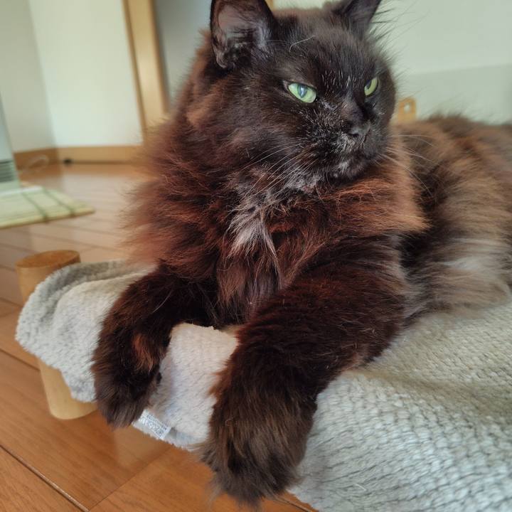 0828bfab 80d2 4217 bff9 f0e13de40feb 1737587863600