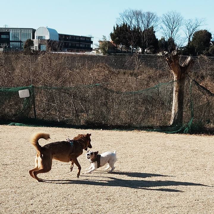 0828e719 55d6 4afe bfc6 51a68e2b4b09 1769909042850