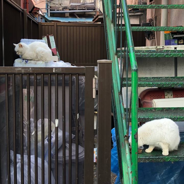 082912d1 e165 4f87 ac54 49c910634353 1520751217826