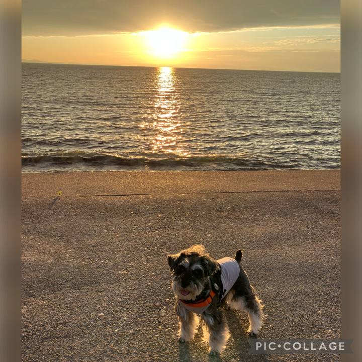 08292e53 68d2 4feb 9bf4 db29711e2a8a 1717167571837