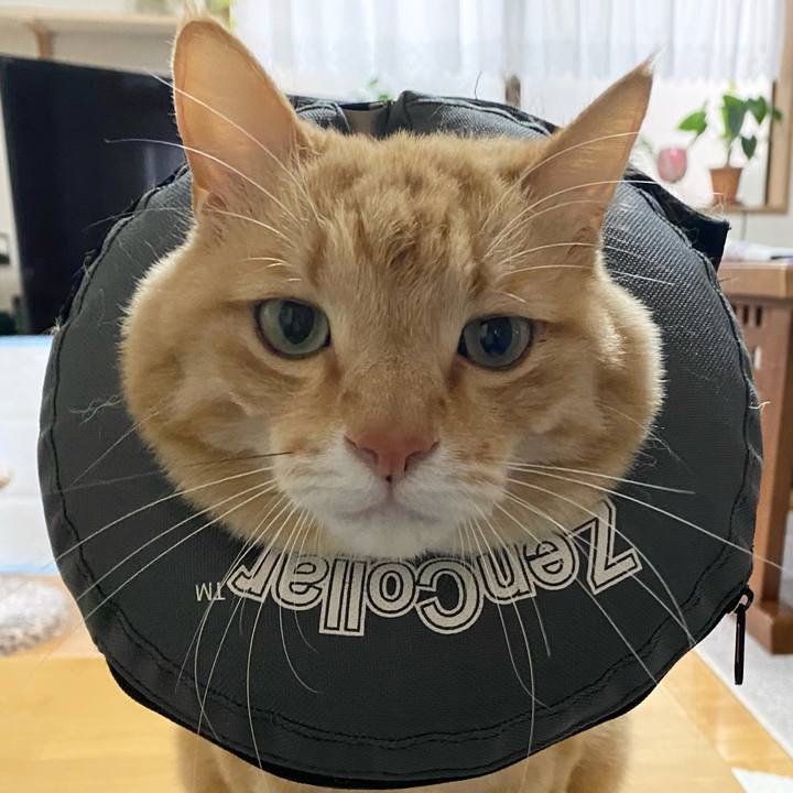 08295998 b7ad 45c5 8161 838ebcff01eb 1619845979122