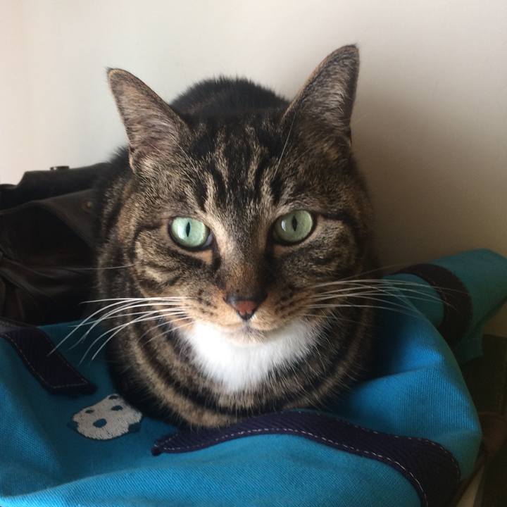 08295dda 20a5 466a ad65 2cf3c0469903 1526209640064