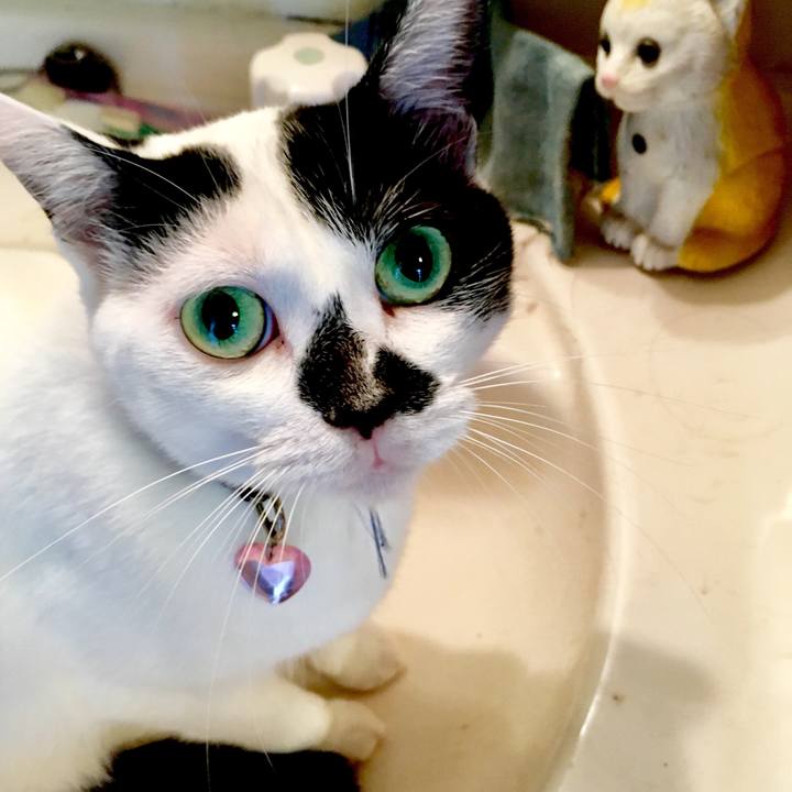 0829a43d fcd5 4287 93ed 777467dca22d 1536384016640