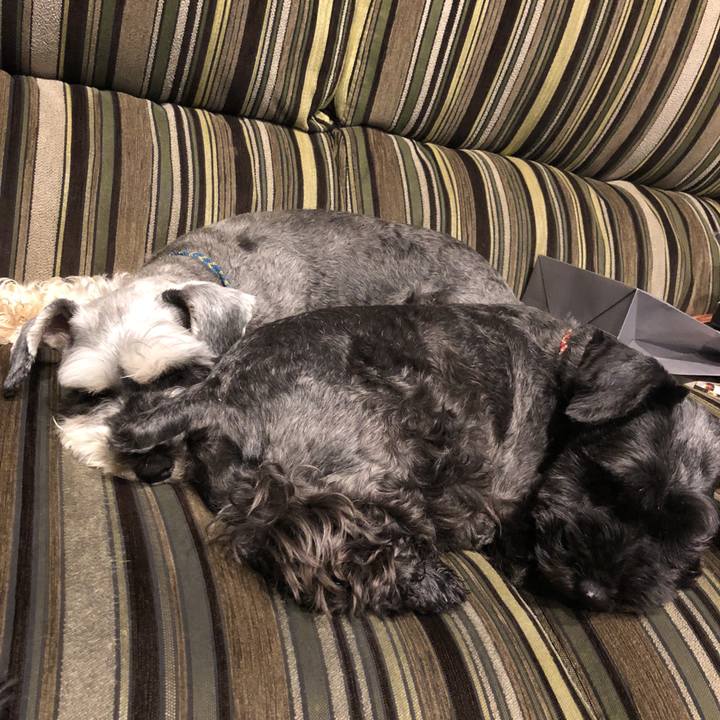 082a2e91 2420 4d33 bf2c 0ce1bb85ed4a 1530882823571