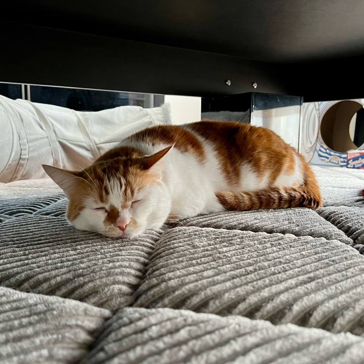 082a7792 89a5 4946 a19e ebd27a6afee9 1763952788932